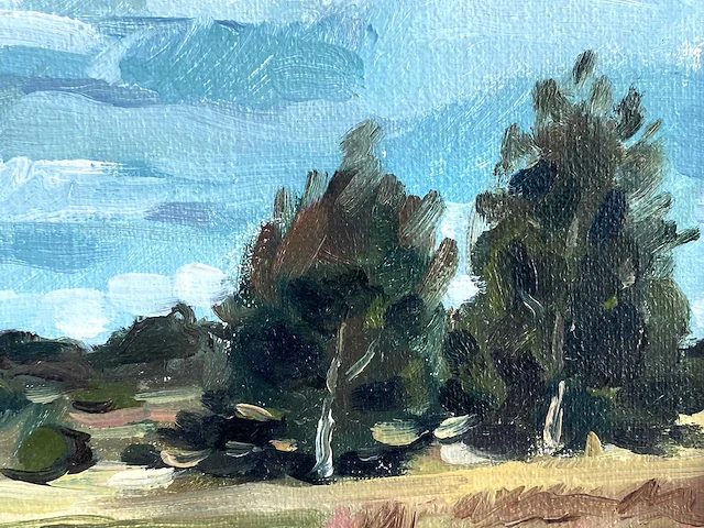 Romain vael - landschap - olie op doek - afbeelding 5 van  7