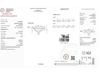 Round brilliant diamant 1.00 ct – fancy vivid pink/vs2 – igi - afbeelding 3 van  3