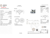 Round brilliant diamant 1.07 ct – fancy yellow/vs1 – igi - afbeelding 2 van  2