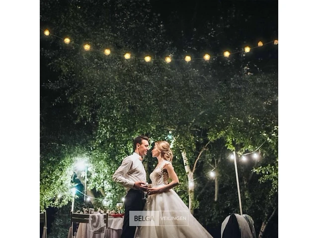 Rozen lichtketting - afbeelding 5 van  7