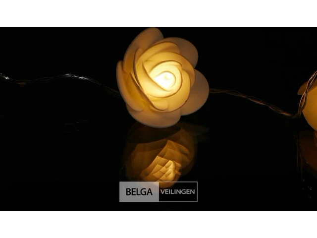Rozen lichtketting - afbeelding 6 van  7