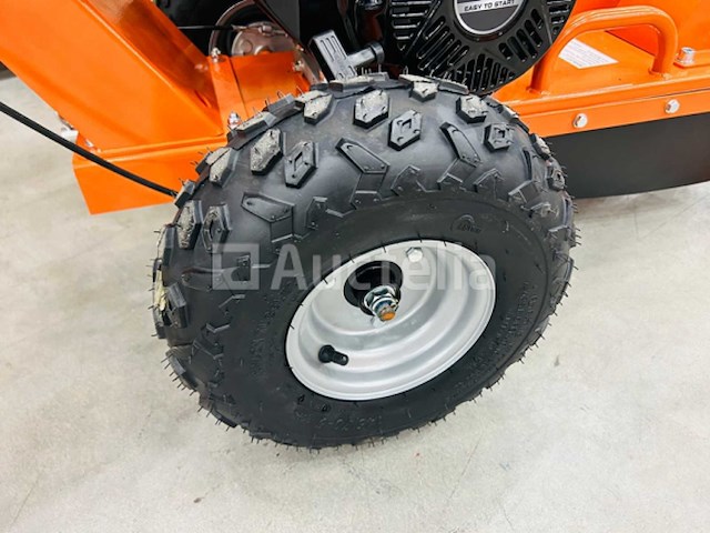 Rte - 2025 - 6777 - stump grinder - afbeelding 6 van  9