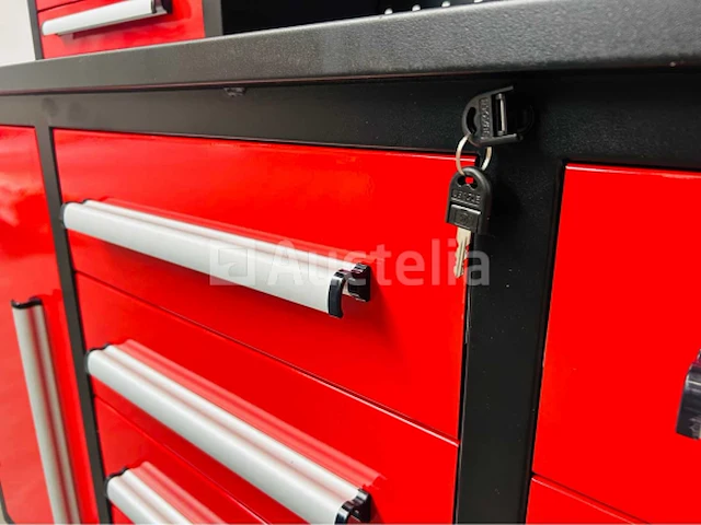 Rte - 2025 - 7399 - garagewerkbank - afbeelding 6 van  10