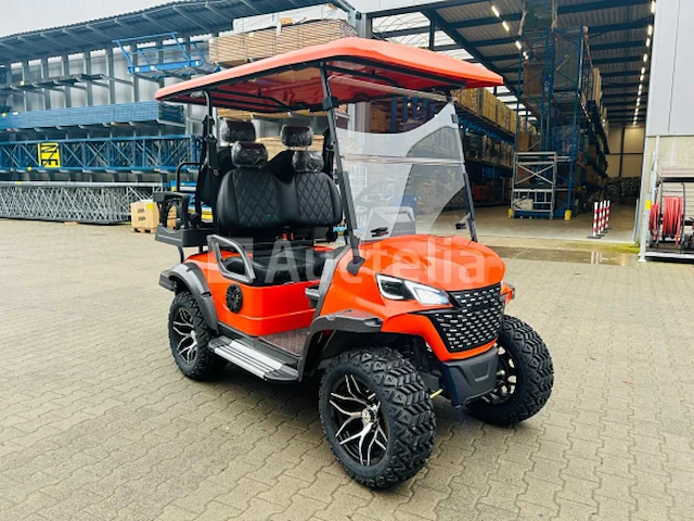 Rte - 2025 - elektrische golfkar 2+2 zits - afbeelding 29 van  29