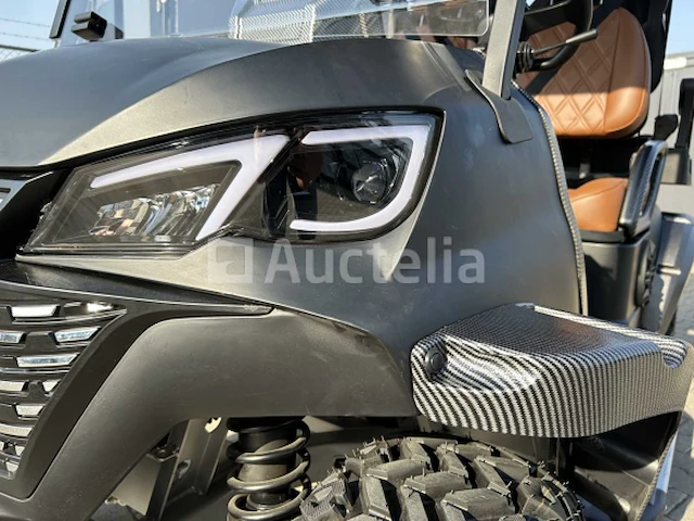 Rte - 2025 - elektrische golfkar 2+2 zits - afbeelding 20 van  37