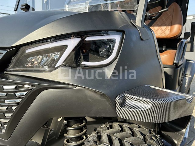 Rte - 2025 - elektrische golfkar 2+2 zits - afbeelding 20 van  37