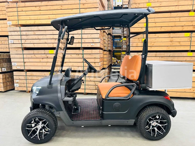 Rte - golfkar met opslagbox mat zwart - afbeelding 17 van  24