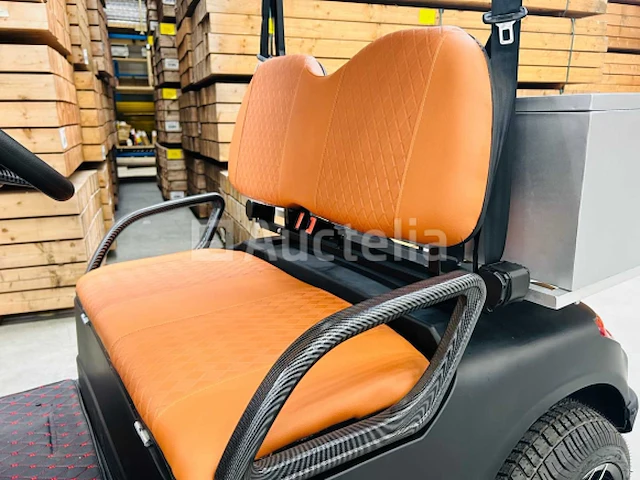 Rte - golfkar met opslagbox mat zwart - afbeelding 2 van  24