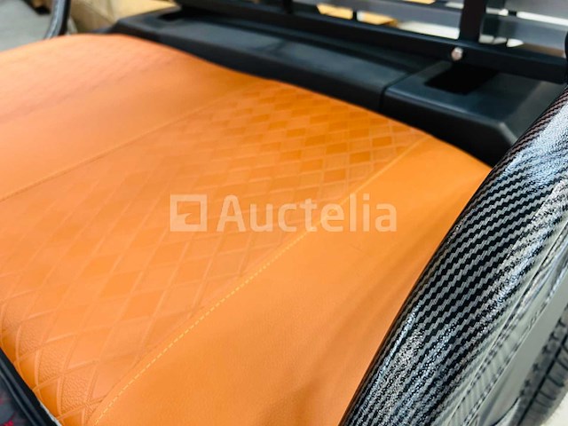 Rte - golfkar met opslagbox mat zwart - afbeelding 1 van  24