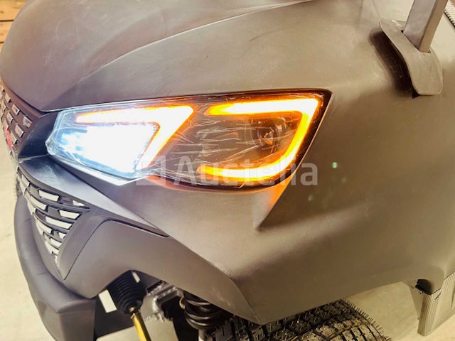 Rte - golfkar met opslagbox mat zwart - afbeelding 13 van  24