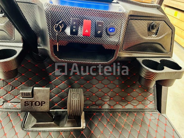 Rte - golfkar met opslagbox oranje - afbeelding 13 van  22