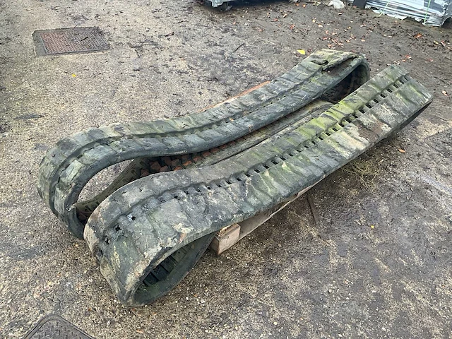 Rupsband (2x) - afbeelding 1 van  5