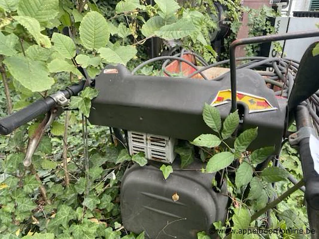 Rupsdumper - afbeelding 2 van  3