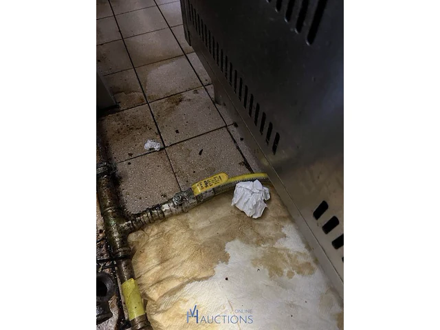 Rvs dubbele gas-friteuse berto's - afbeelding 4 van  4