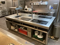 Rvs kookeiland palux