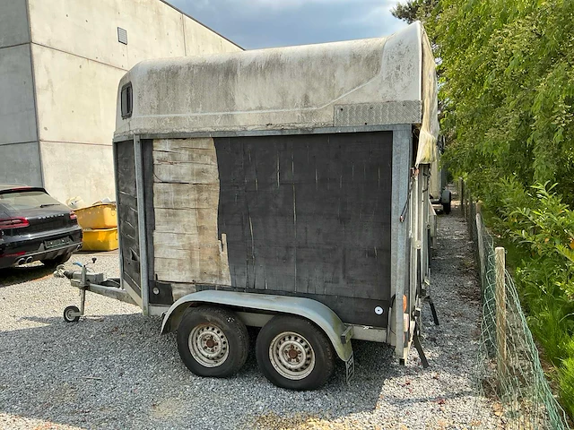 Rw rwh2500 paardentrailer - afbeelding 5 van  10