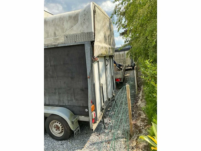 Rw rwh2500 paardentrailer - afbeelding 6 van  10