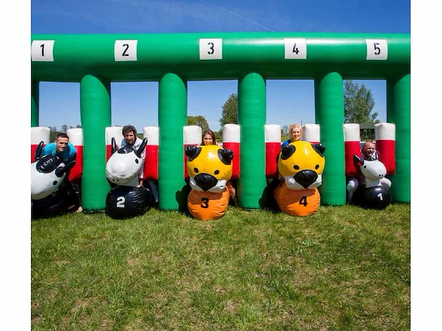 Safari race - afbeelding 3 van  5