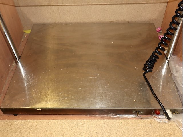 Salamander - afbeelding 3 van  3