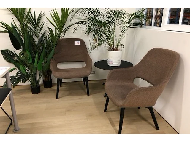 Salon 2 zetels, 1 tafel, 4 planten - afbeelding 6 van  6
