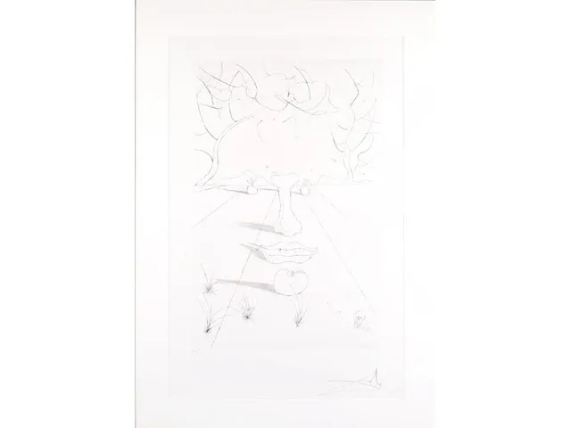 Salvador dali - ets - gesigneerd - afbeelding 1 van  1
