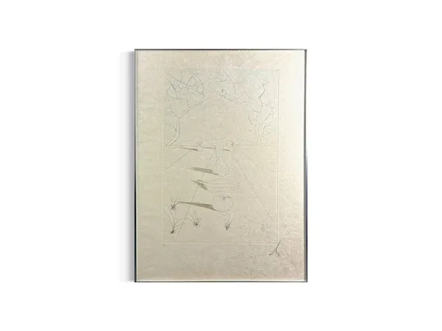 Salvador dali - ets - gesigneerd - afbeelding 1 van  4