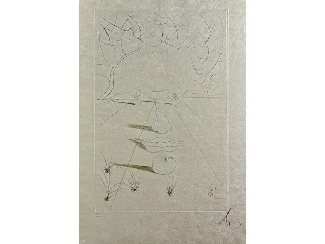 Salvador dali - ets - gesigneerd - afbeelding 2 van  4