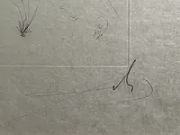 Salvador dali - ets - gesigneerd - afbeelding 3 van  4