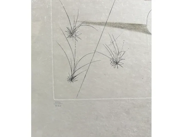 Salvador dali - ets - gesigneerd - afbeelding 4 van  4
