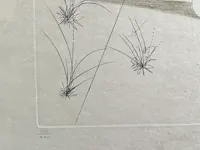 Salvador dali - ets - gesigneerd - afbeelding 4 van  4