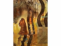 Salvador dali - litho - afbeelding 6 van  6