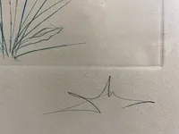 Salvador dali - originele ets - afbeelding 2 van  3