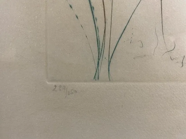 Salvador dali - originele ets - afbeelding 3 van  3