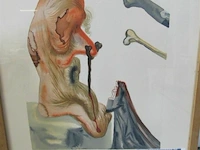 Salvador dali origineel litho ± 28x35 - afbeelding 3 van  5