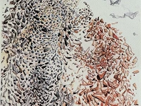 Salvador dali - afbeelding 2 van  4