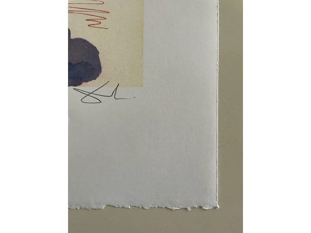 Salvador dali - afbeelding 4 van  4