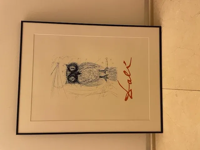 Salvador dali - afbeelding 1 van  3