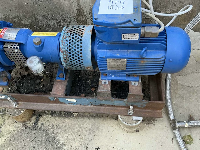 Salvatore robuschi rdv 40 16e 0000m2273 atex centrifugaalpomp - afbeelding 2 van  7
