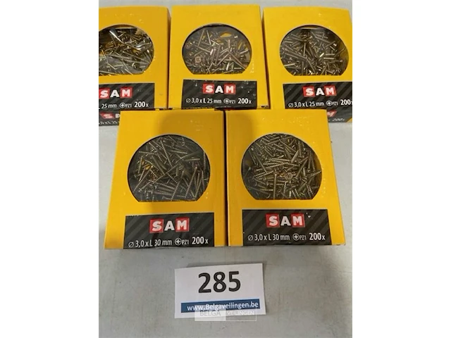 Sam houtschroef 600 x 3x25 mm 400x 3x 30mm - afbeelding 1 van  3
