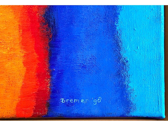 Saskia bremer - funny seal - acryl op doek - 100x100 cm - afbeelding 6 van  12