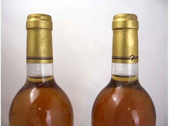 Sauternes château la fôret 1995 (x2) - afbeelding 3 van  3