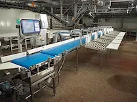 Scanvaegt / attec food technology