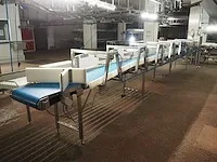 Scanvaegt / attec food technology - afbeelding 15 van  21