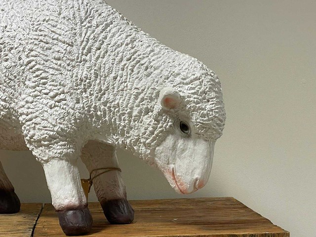 Schaap staand grazend h42cm x l65cm wit - afbeelding 2 van  2