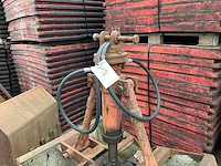 Schalengrijper - afbeelding 3 van  5