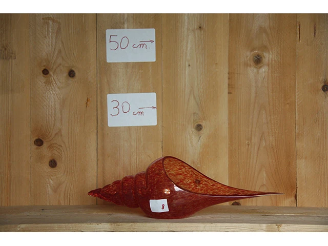 Schelp - afbeelding 1 van  2