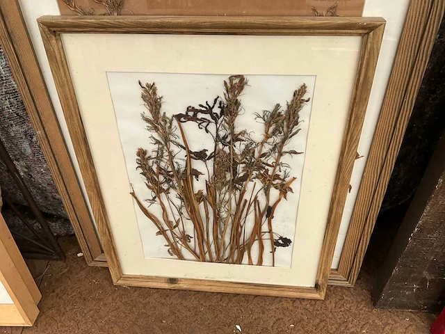 Schilderij (5x) - afbeelding 5 van  6