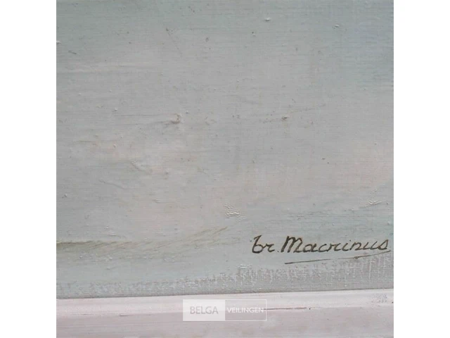 Schilderij br macrinus - afbeelding 4 van  4