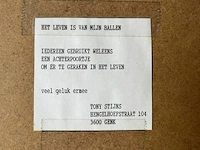 Schilderij 'het leven is van m'n ballen' - stijns tony - afbeelding 5 van  5
