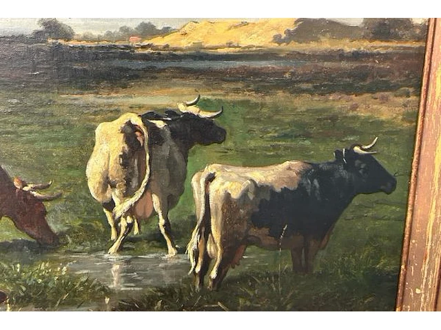 Schilderij op doek robbe - afbeelding 5 van  9